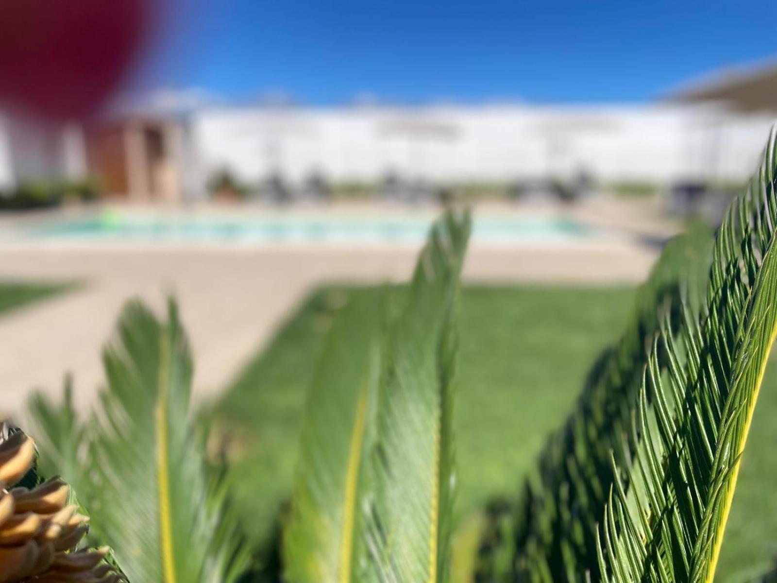 Agriturismo Albachiara Bisignano Экстерьер фото